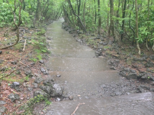 下山する時は、登山道が川のようになっていました。