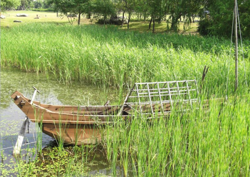 案内図 ⑥ の伽耶の船。　　　　　　　　　　　渡り廊下の板が朽ちてきていました。　　足元にご注意。