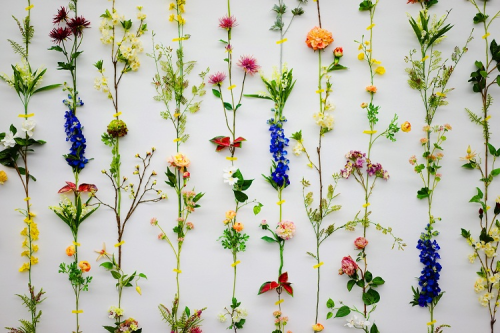 壁一面にお花モチーフが