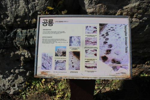 南舞場岩場にある、恐竜の足跡の説明板です。