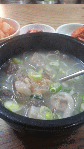 写真が横向きですみません