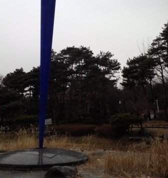 池も凍る寒い日だと