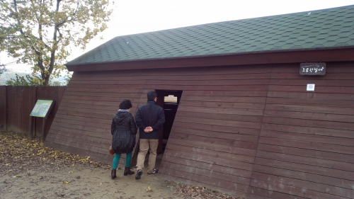ここも野鳥観察棟