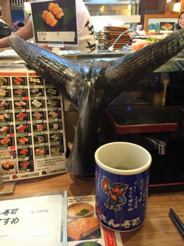 ノリノリでしっぽを置かれてびっくり!