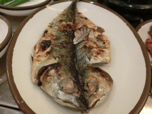 コドゥンオ（サバ）の身が厚くて美味しい。