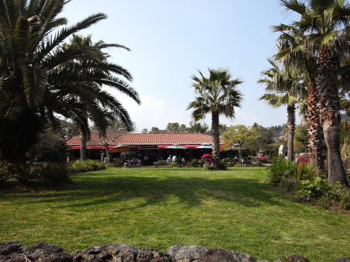 カフェでゆったりするのもいいですね