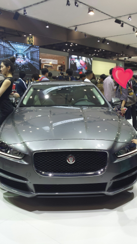 子供のおもちゃと化してたジャガー。