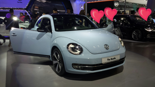 最高に可愛かったビートル♪