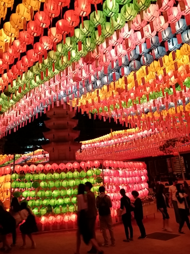 昨年より明るかった気が。