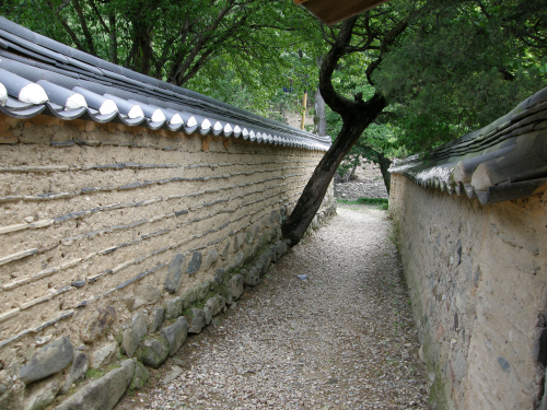 この奥にいくと川です