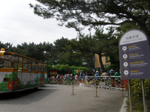 土曜日の10時すぎに着いたのでもうすでにお客さんの行列が。。。