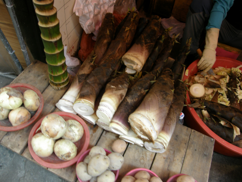 たけのこもありました