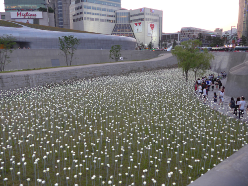 点灯してまもなく。あたりが明るいので、ほんのり光っている感じ。