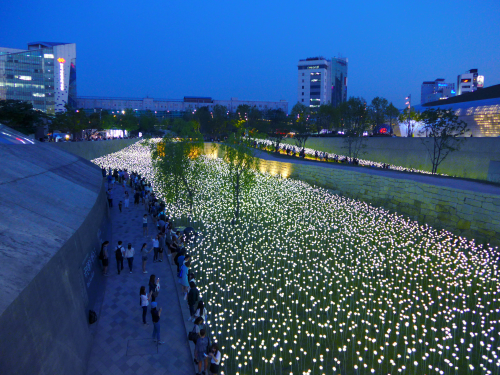 日没と共に、華やかさが増します。