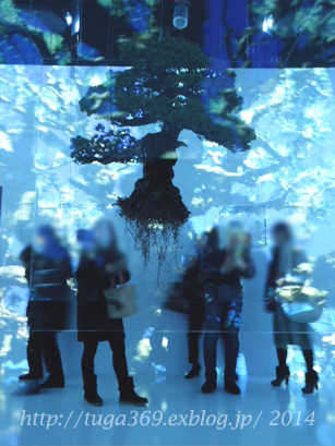 宙づりの盆栽。