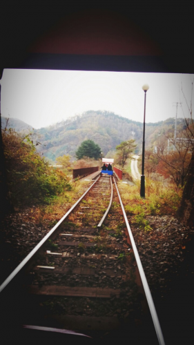 両サイド秋の風景です。