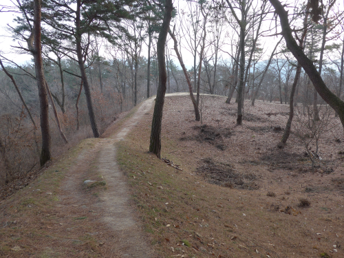 宮女祠へ向かう道は、城跡らしい雰囲気があります。