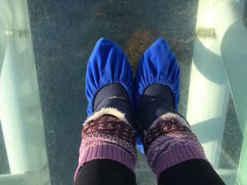 靴カバーは床を傷つけないために必須！