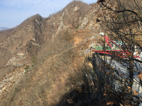 展望台から望むジップワイヤー