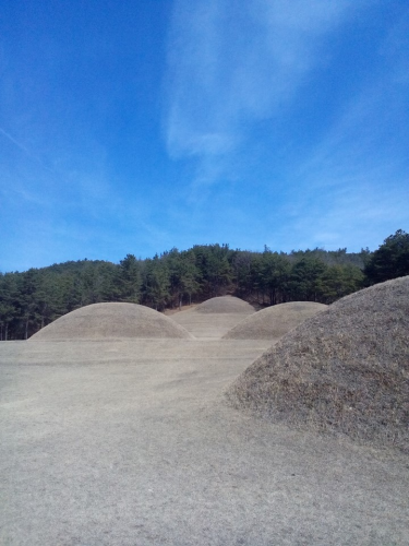 綺麗な半球形の古墳が7基あります。