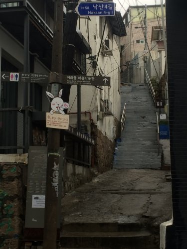 鯉の階段。「シッ！住民が住んでいます」のウサギの看板。