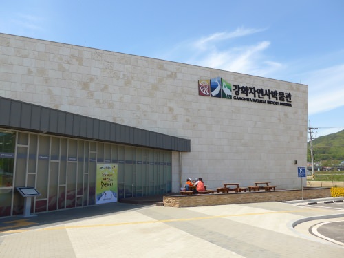 江華自然史博物館は、動物の模型と虫の標本が充実していました。