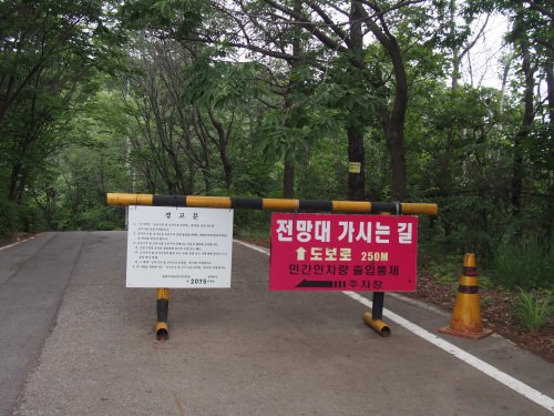 緑が鬱蒼としていて気持ちがいい。