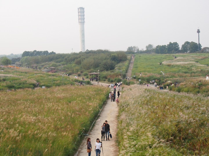 展望台からの眺め。