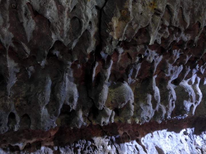 独特の形状は、どこか異世界のような雰囲気が感じられます。