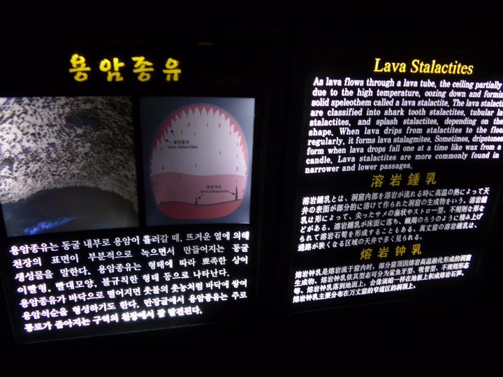 案内は韓国語、英語、日本語、中国語があり、内容も丁寧で分かりやすかったです。