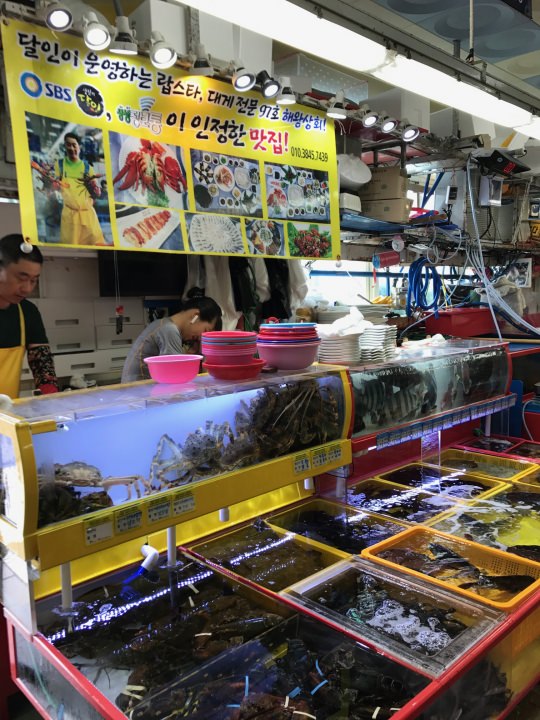 今回の購入場所