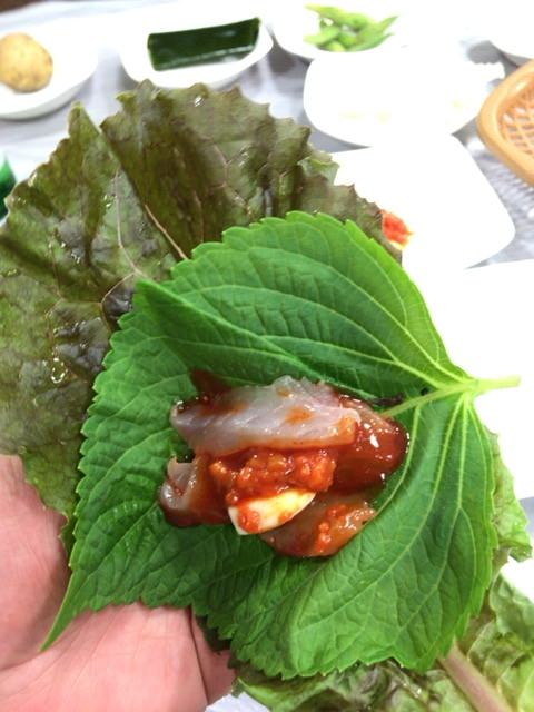 えごまうまうま