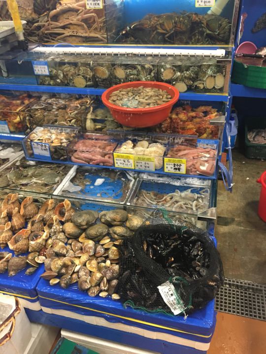 次回は挑戦したい貝