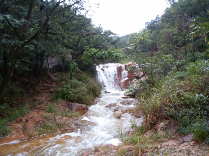 滝もありましたがここも上に行くような道なし・・・