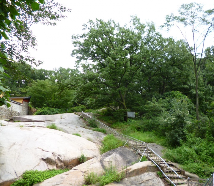 すぐ脇のこの道が白砂室渓谷へ続く道です。