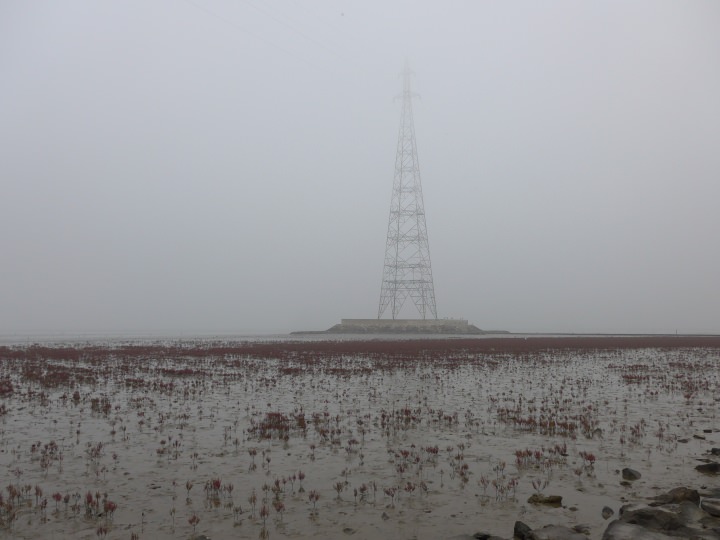 高圧線の鉄塔が島のように点在していて、鉄塔の下まで歩いて渡ることもできます。鉄塔には鳥がとまっていて、私が近づくと一斉に逃げました。