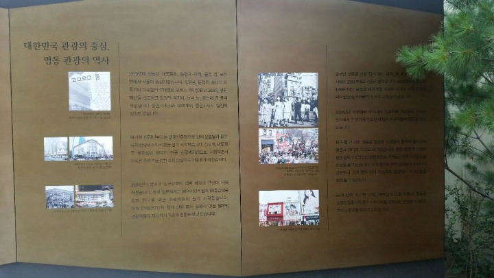 写真だけ見ても