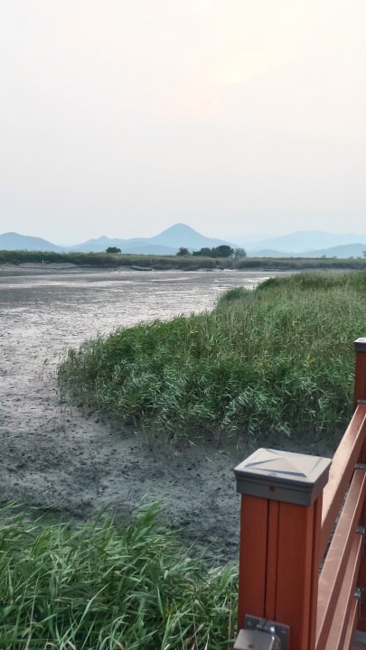 夕方6時過ぎにはこんなに潮が引いてしまいました。