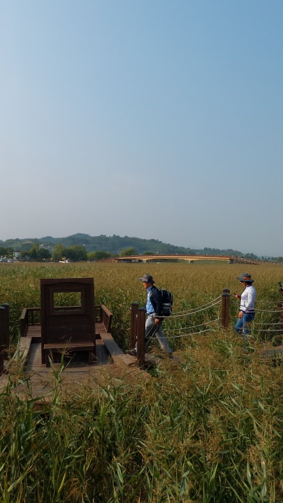 軽いウォーキング風のかたも沢山歩いていらっしゃしました。