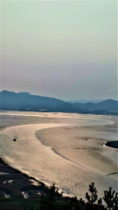 引き潮なので、これが最後の船でしょうか。