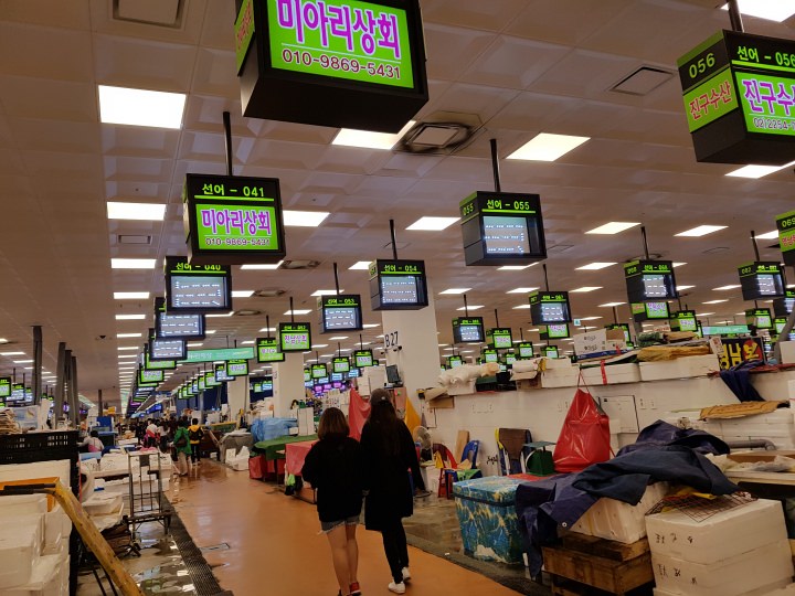 入ってすぐは鮮魚コーナー