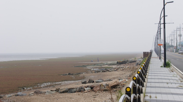 島の南東側に広がる干潟にはアッケシソウが一面に群生しています。秋ごろにはもっと赤くなるようです。また、干潟からは泡が弾けるような音が聞こえてきます。
