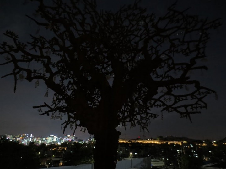 こちらも番組に登場した木。ソウル城郭が後ろに見えて何だか幻想的な雰囲気に。キルライムの家のすぐ近くです＾＾；