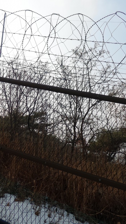 有刺鉄線が城郭と並行しています。