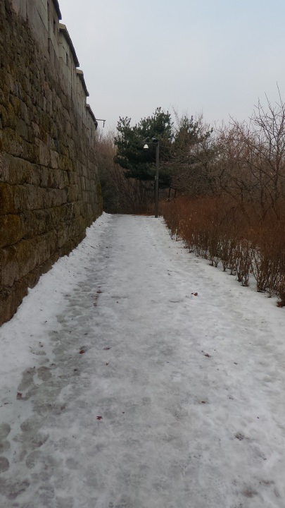 城郭の北側の道は昼近くになっても凍りついていて、お年寄りは軽アイゼンを使っておいででした。