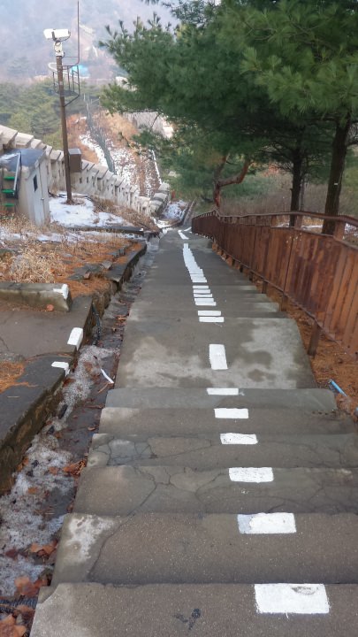 １３２段あった階段。登り切った所で上から撮りました。ここを登るのはゼーコゼーコどころではありません。