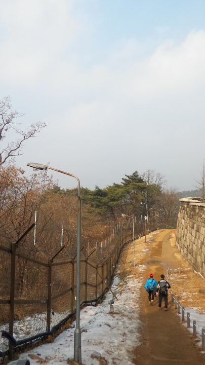 冬の良い色が出ています。