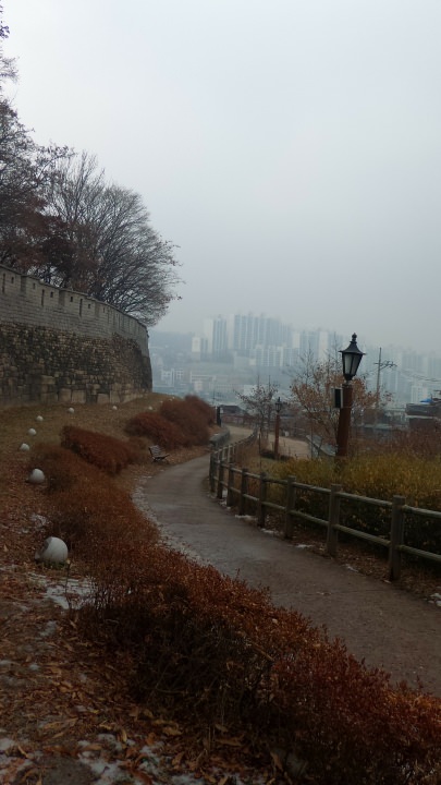 生憎のお天気でしたが、それなりに良い色の景色です。
