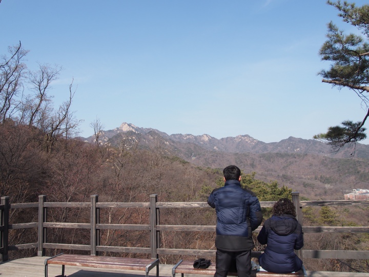 散策路の途中に展望台がある。