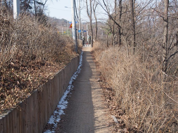 北岳スカイウェイに沿って散策路がある。右側は「貞陵」。